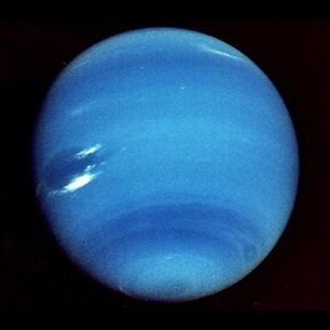 Meet your Posher, Rene